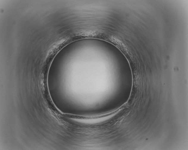 X0000072940688200608111601