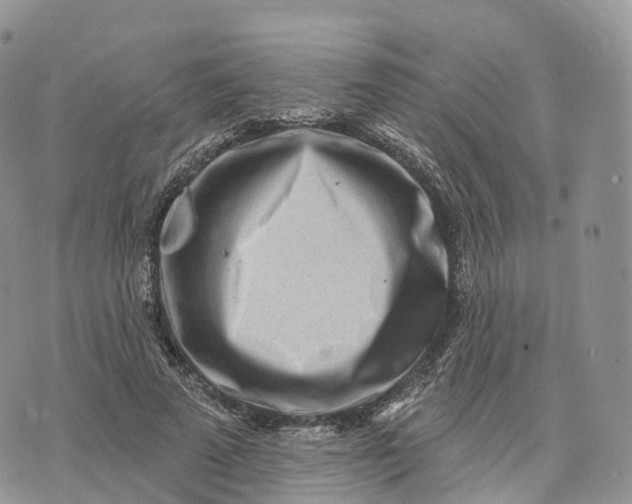 X0000072940689200608111601