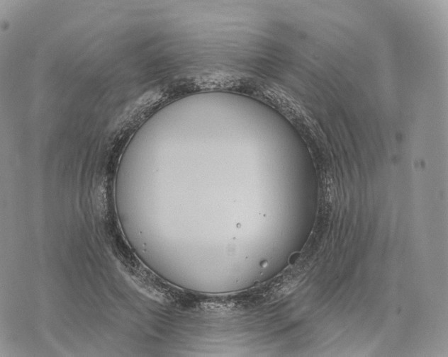 X0000072940690200608111601