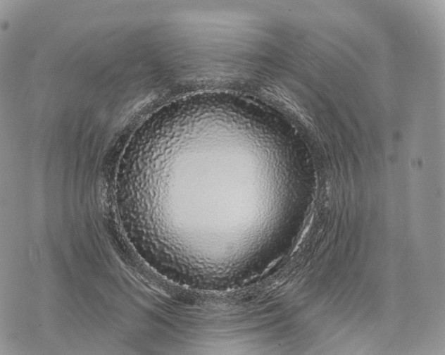 X0000072940692200608111601