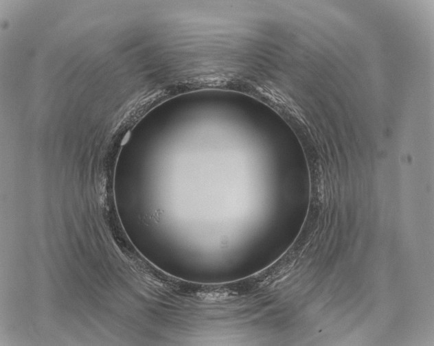 X0000072940693200608111601