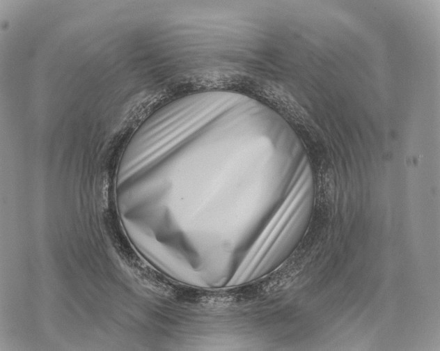 X0000072940694200608111601