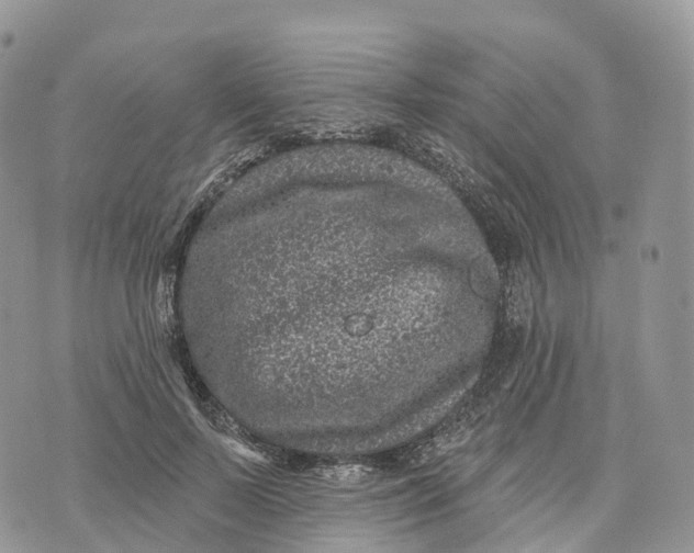 X0000072940695200608111601