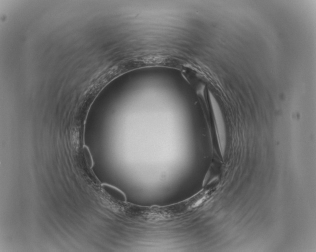 X0000072940697200608111601