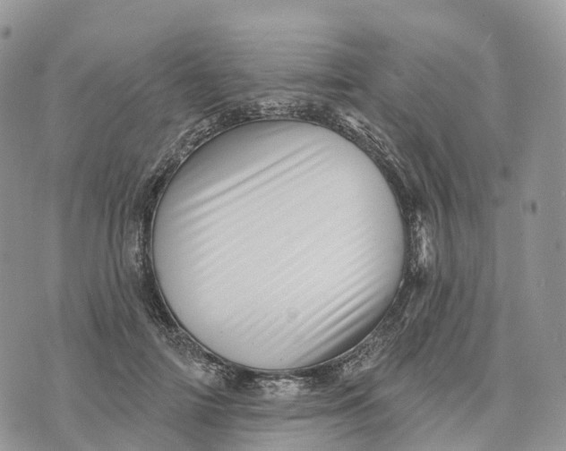 X0000072940698200608111601