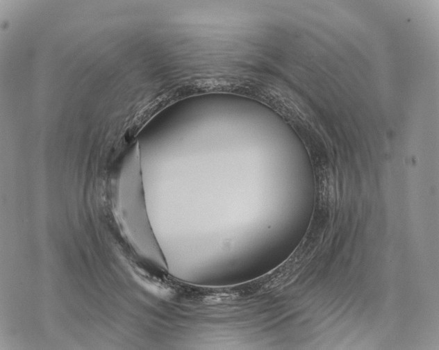 X0000072940700200608111601