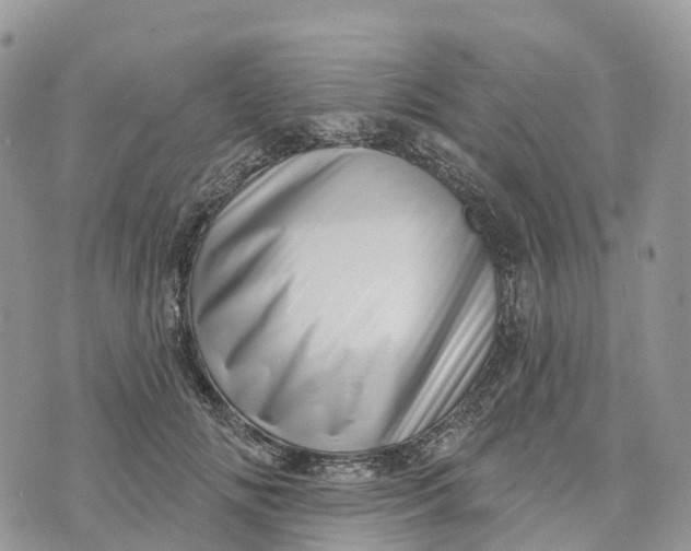 X0000072940702200608111600