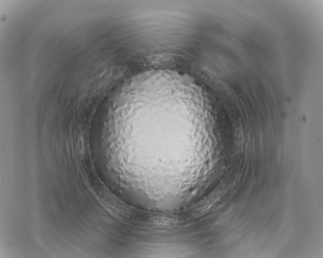 X0000072940703200608111600