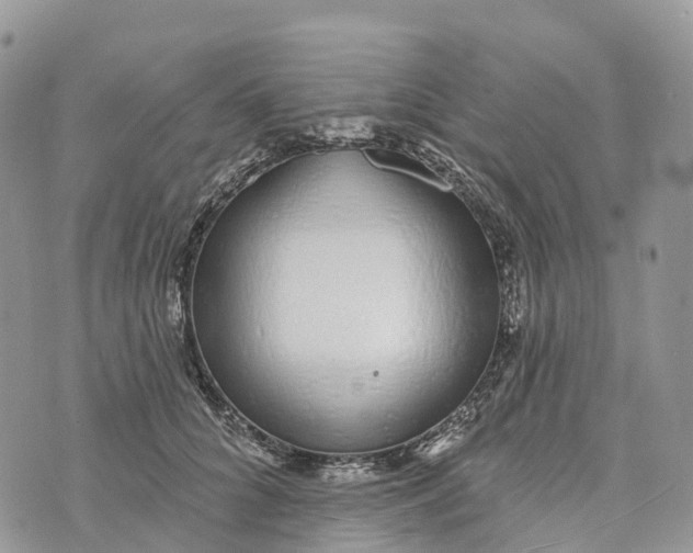 X0000072940704200608111600