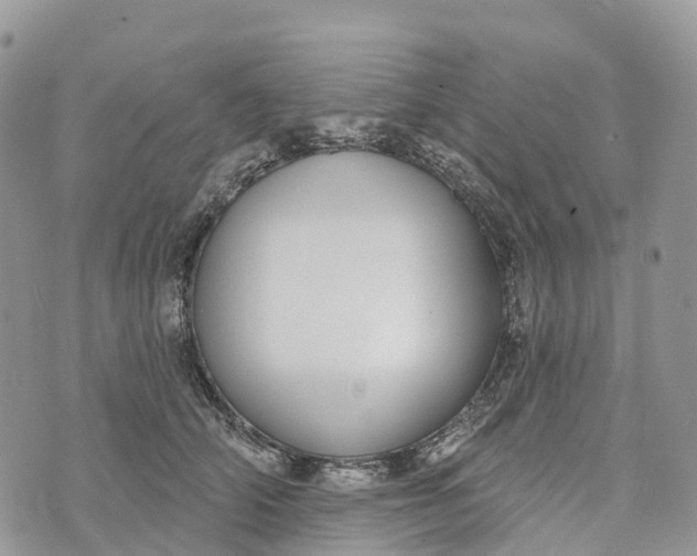 X0000072940706200608111600