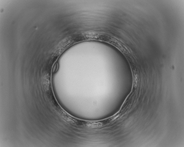 X0000072940707200608111600