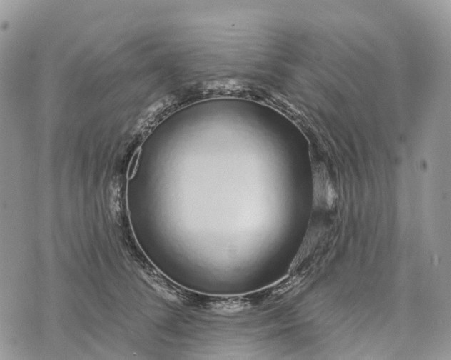 X0000072940708200608111600