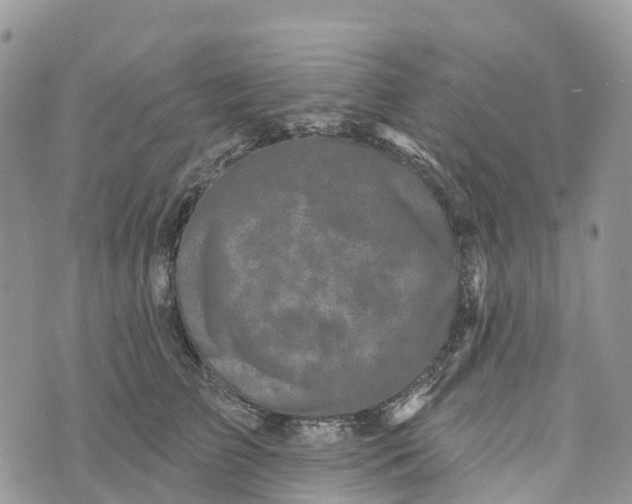 X0000072940709200608111600