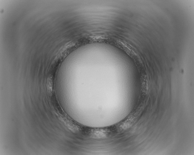 X0000072940710200608111600