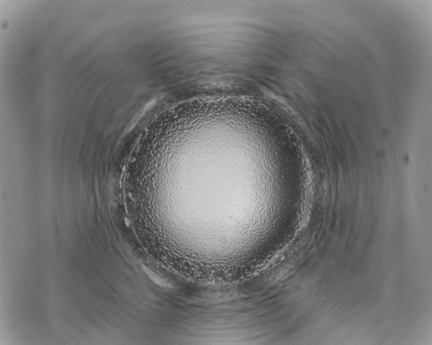 X0000072940712200608111600