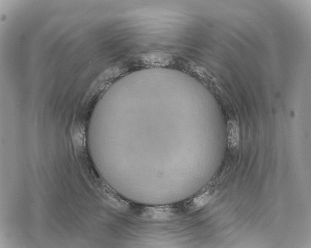 X0000072940713200608111600