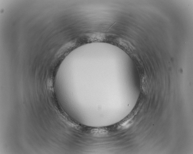 X0000072940714200608111600