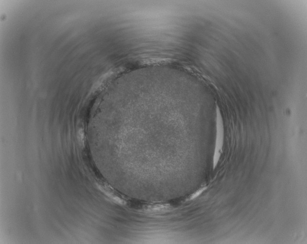 X0000072940716200608111600