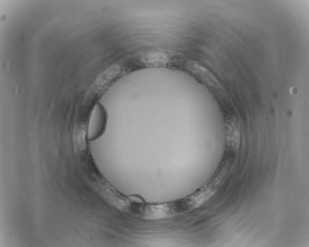 X0000072940717200608111600