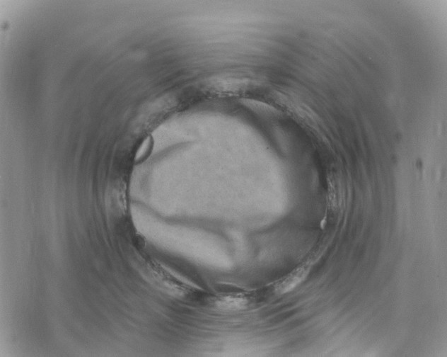 X0000072940718200608111600