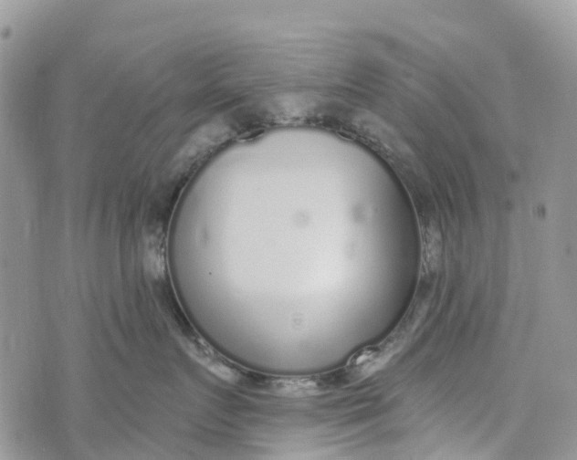 X0000072940719200608111600