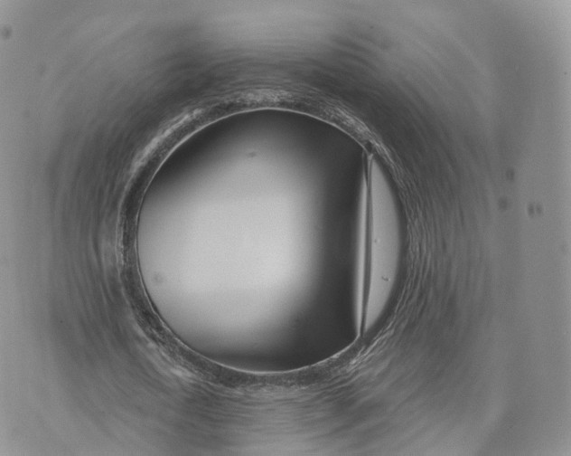 X0000072940722200608111559