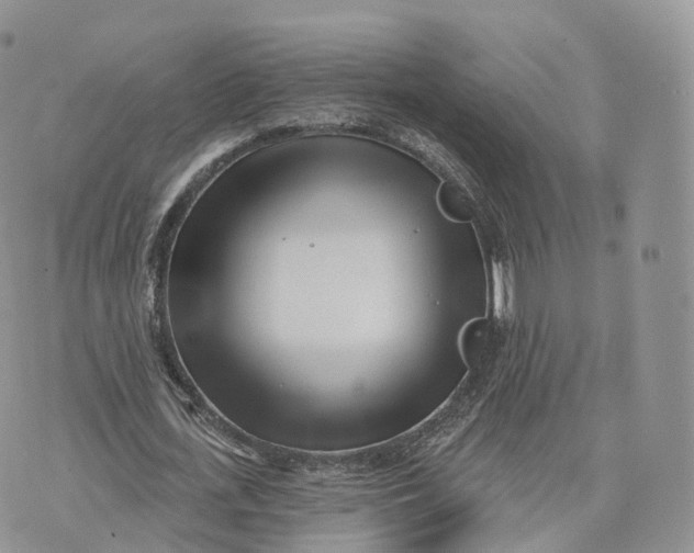 X0000072940723200608111559