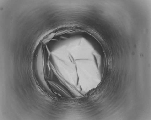 X0000072940724200608111559