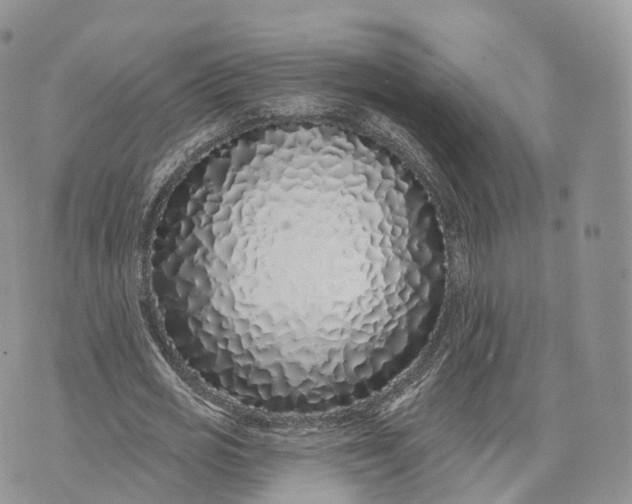 X0000072940725200608111559