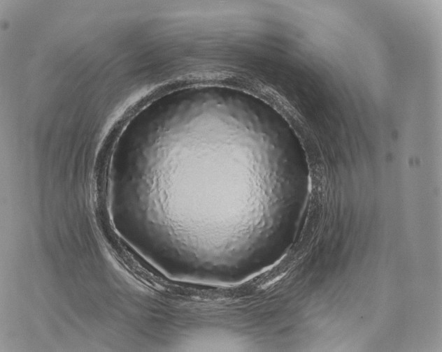 X0000072940726200608111559