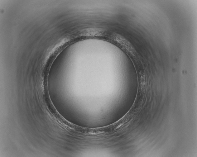 X0000072940727200608111600