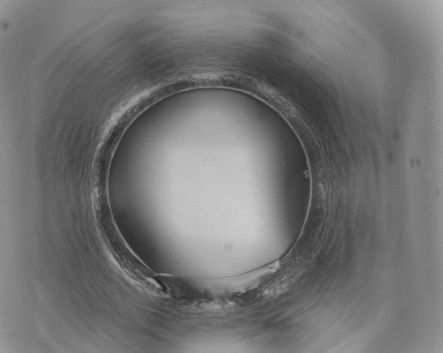 X0000072940728200608111600