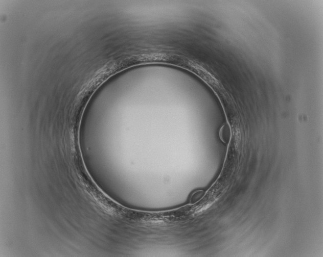 X0000072940729200608111600