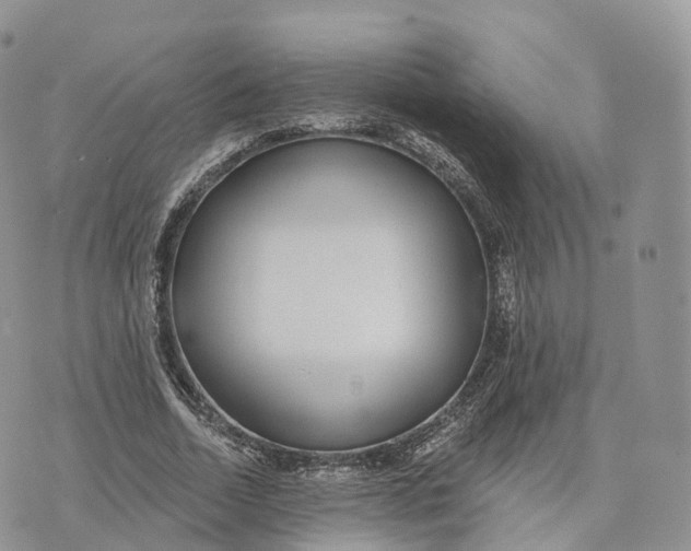 X0000072940730200608111600