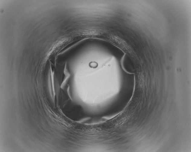 X0000072940731200608111600