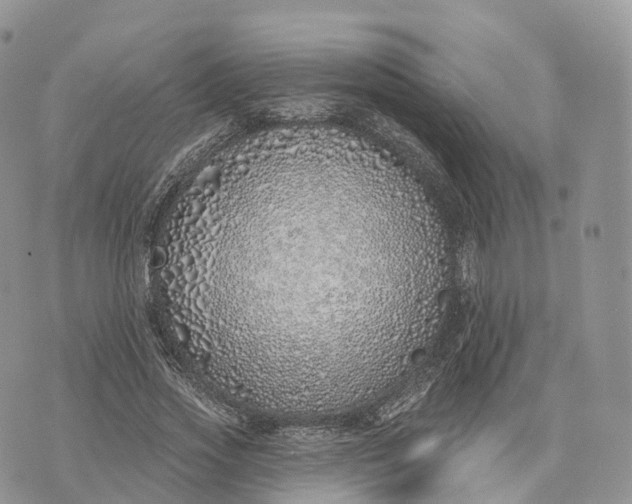 X0000072940733200608111600