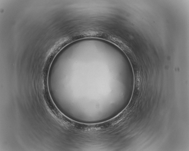 X0000072940734200608111600