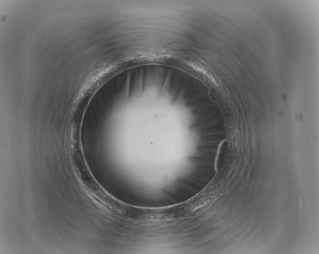 X0000072940736200608111600