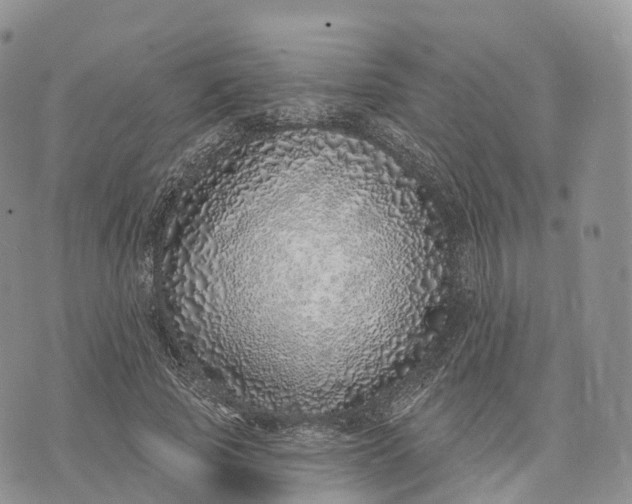 X0000072940737200608111600