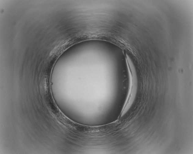 X0000072940740200608111600