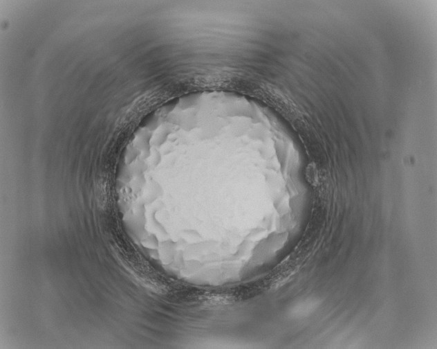 X0000072940741200608111600