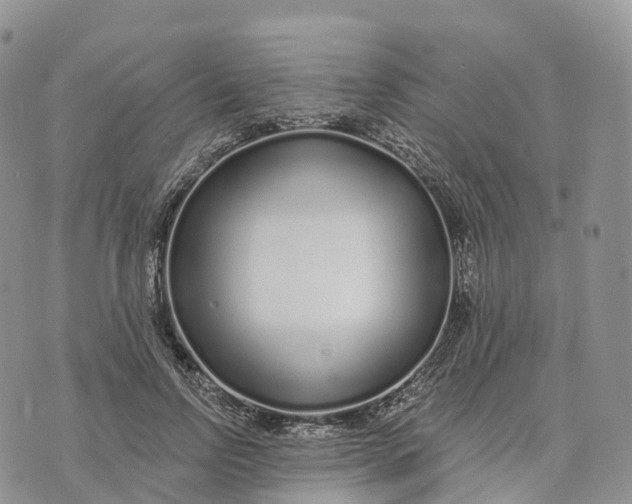 X0000072940742200608111600