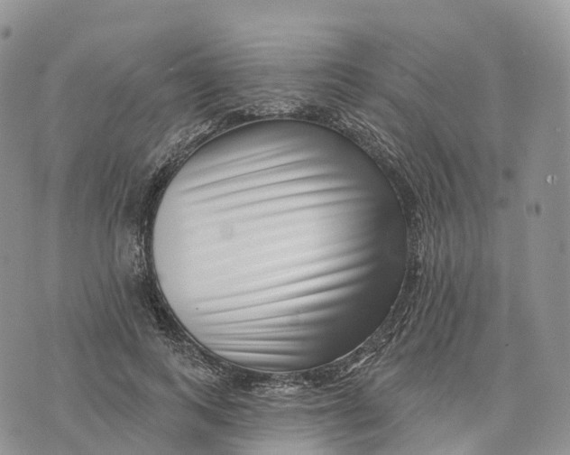 X0000072940743200608111600