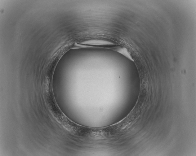 X0000072940744200608111600