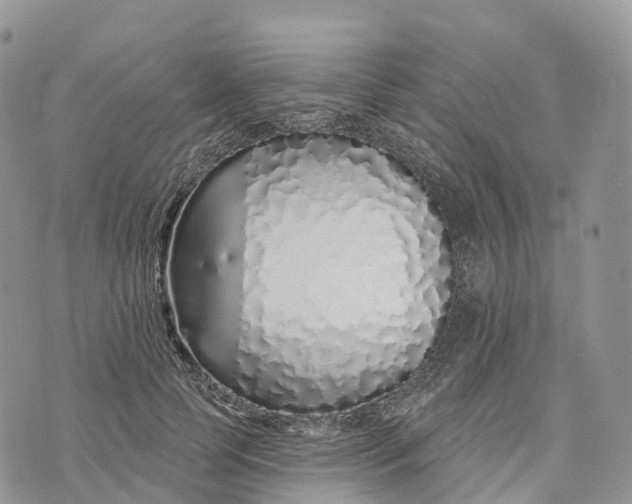 X0000072940745200608111600