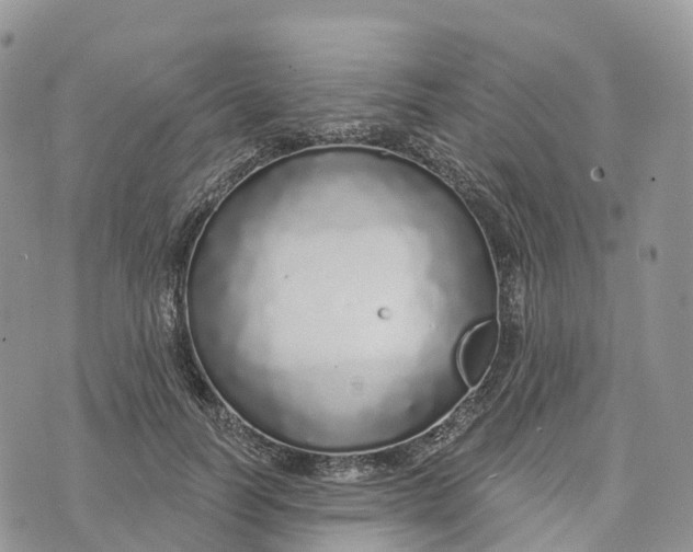 X0000072940746200608111600