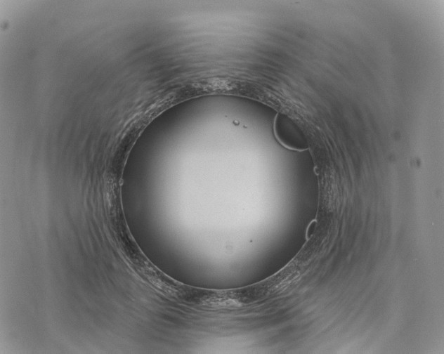 X0000072940747200608111600