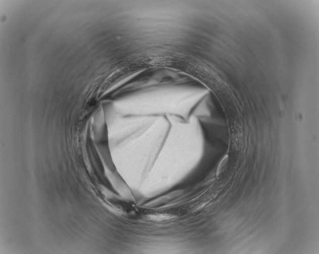 X0000072940748200608111600