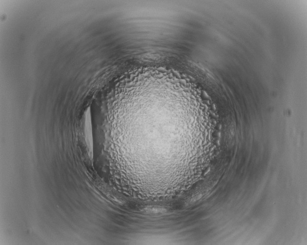 X0000072940749200608111600