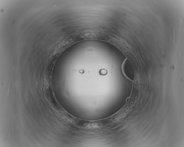 X0000072940751200608111600